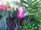 SAM_0063