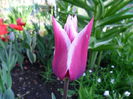 SAM_0064