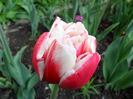 SAM_0065