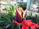 SAM_0068