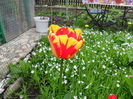 SAM_0132