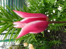 SAM_0136
