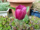 SAM_0138