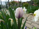 SAM_0140