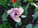 SAM_0197