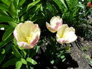 SAM_0198