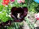 SAM_0203