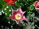 SAM_0205