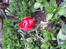 SAM_0236
