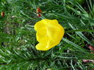 SAM_0237
