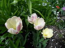 SAM_0241