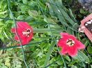 SAM_0244