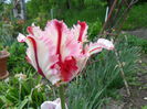 SAM_0277