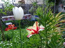 SAM_0417