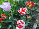 SAM_0418