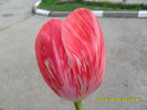 SAM_5388