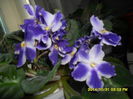 SAM_7573
