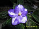 SAM_7590