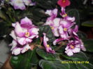 SAM_7591