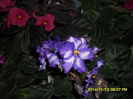 SAM_7594