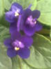 Imag008
