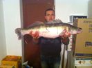 Salau 5.5kg
