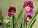 SAM_6401