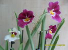 SAM_6402