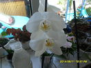 SAM_6407