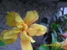 SAM_6760