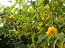 DSCN3605