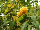 DSCN3607