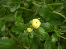 DSCN3617