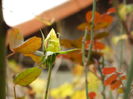 DSCN3638