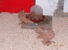 DSC02906