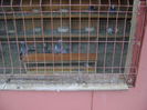 DSC06621