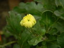 DSCN3620