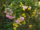 DSCN3701