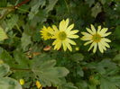 DSCN3711