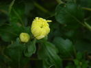 DSCN3766