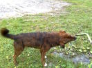 @HIDRATARE:))...