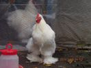 100833058_JOIYRVP