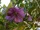 DSCN3665