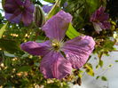 DSCN3666