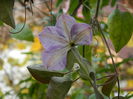 DSCN3743