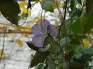 DSCN3744