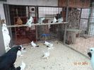 DSC03036
