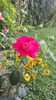20140722_122817