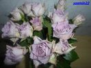 SAM_4130    Feb.2014