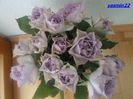 SAM_4128   Feb.2014